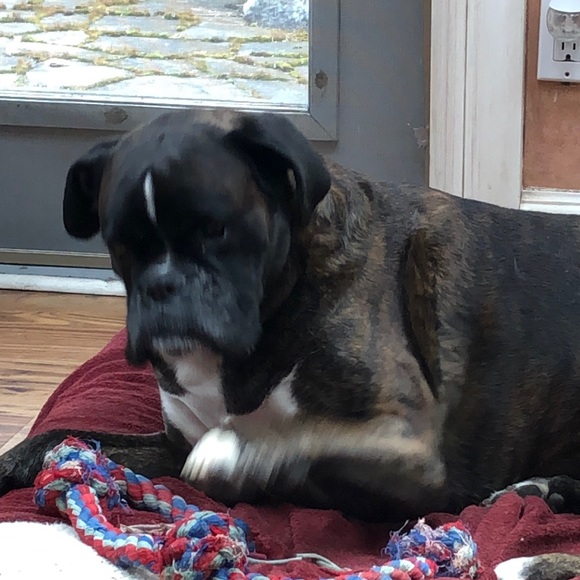 Make me an offer!! - Picture 1 of 1